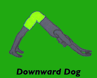 Yoga Downward Dog Pose