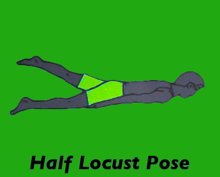Yoga Half Locust Pose