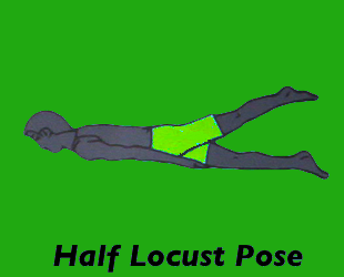 Yoga Half Locust Pose Left