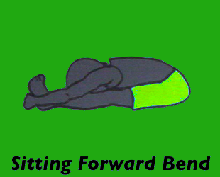 Yoga Sitting Forward Bend Pose