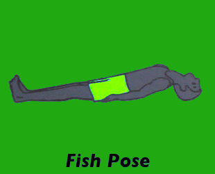 Yoga Fish Pose
