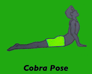 Yoga Cobra Pose